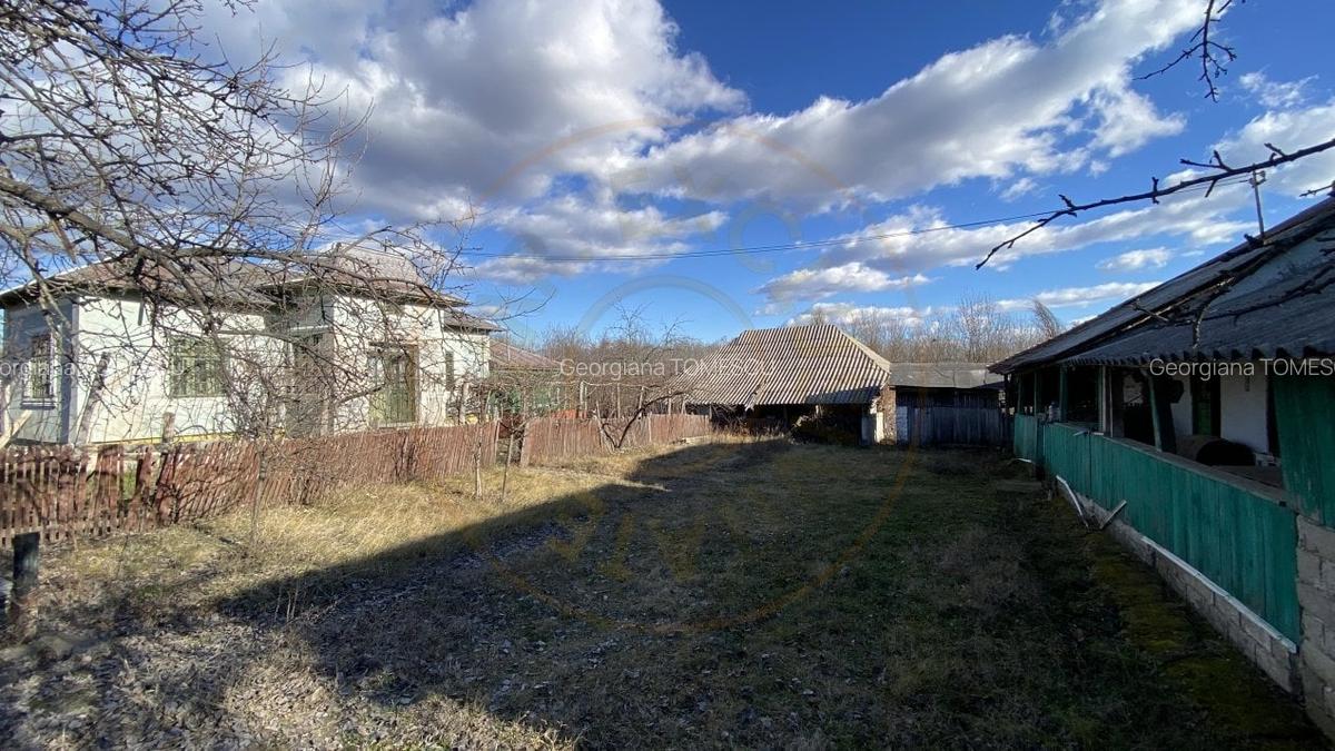 Casa traditionala argeseana - comuna Vedea, jud. Arges - 12