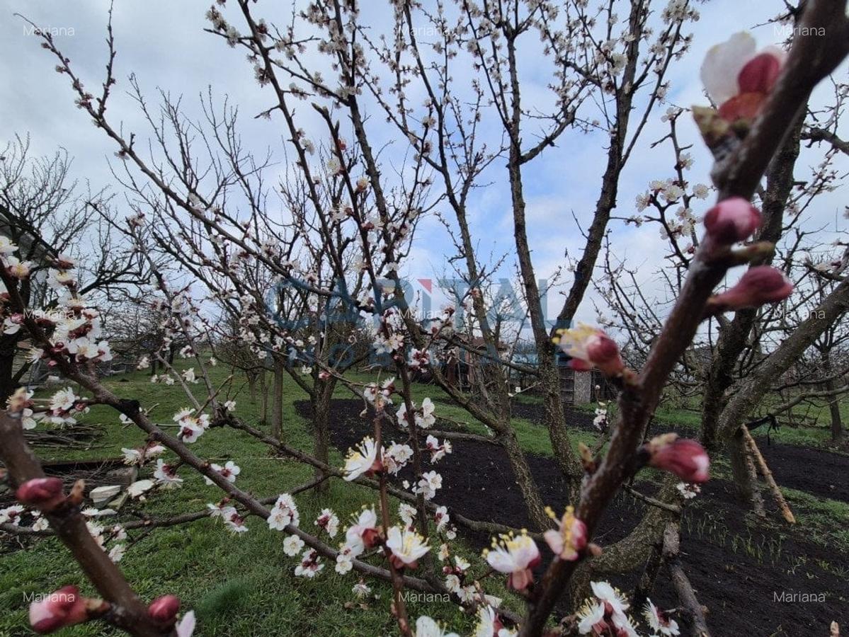 Casa la cheie cu garaj, D+P+E, 200 mpu, 1 400 mpt, central Dezmir - 5