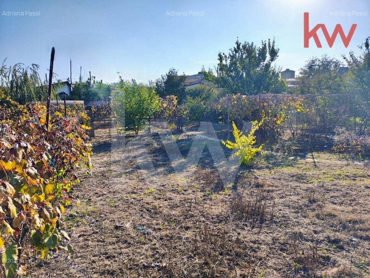 Casa spatioasa, cu beci, pod mansardabil si utilitati complete | Bariera Valcii - 11 Casa spatioasa, cu beci, pod mansardabil si utilitati complete | Bariera Valcii - 11