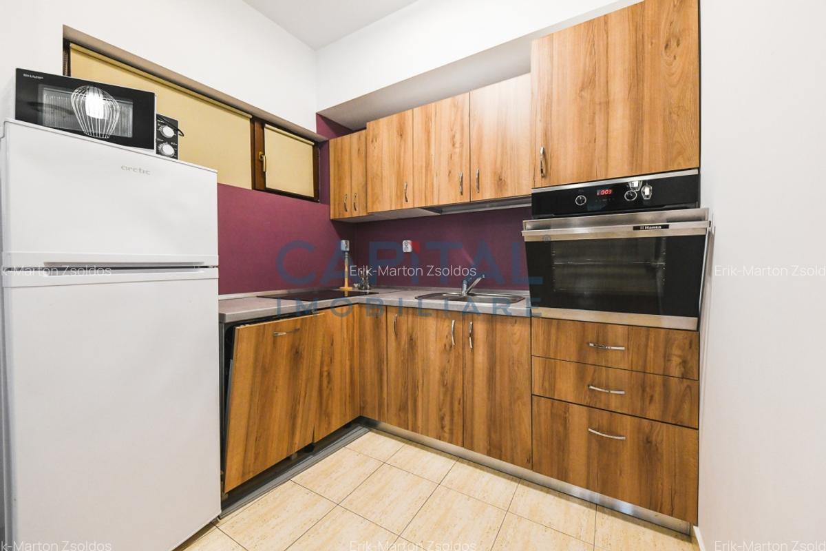 Apartament cu o camere de inchiriat, Dambul Rotund - 4