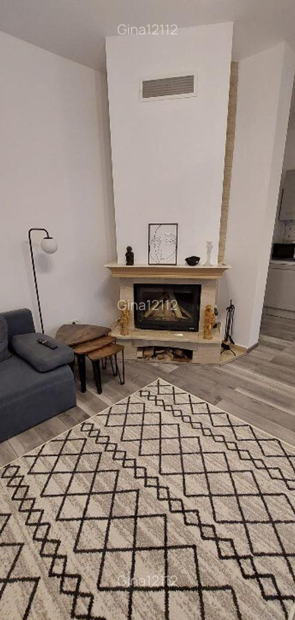 Casa singur curte langa parcul Herastrau - 9