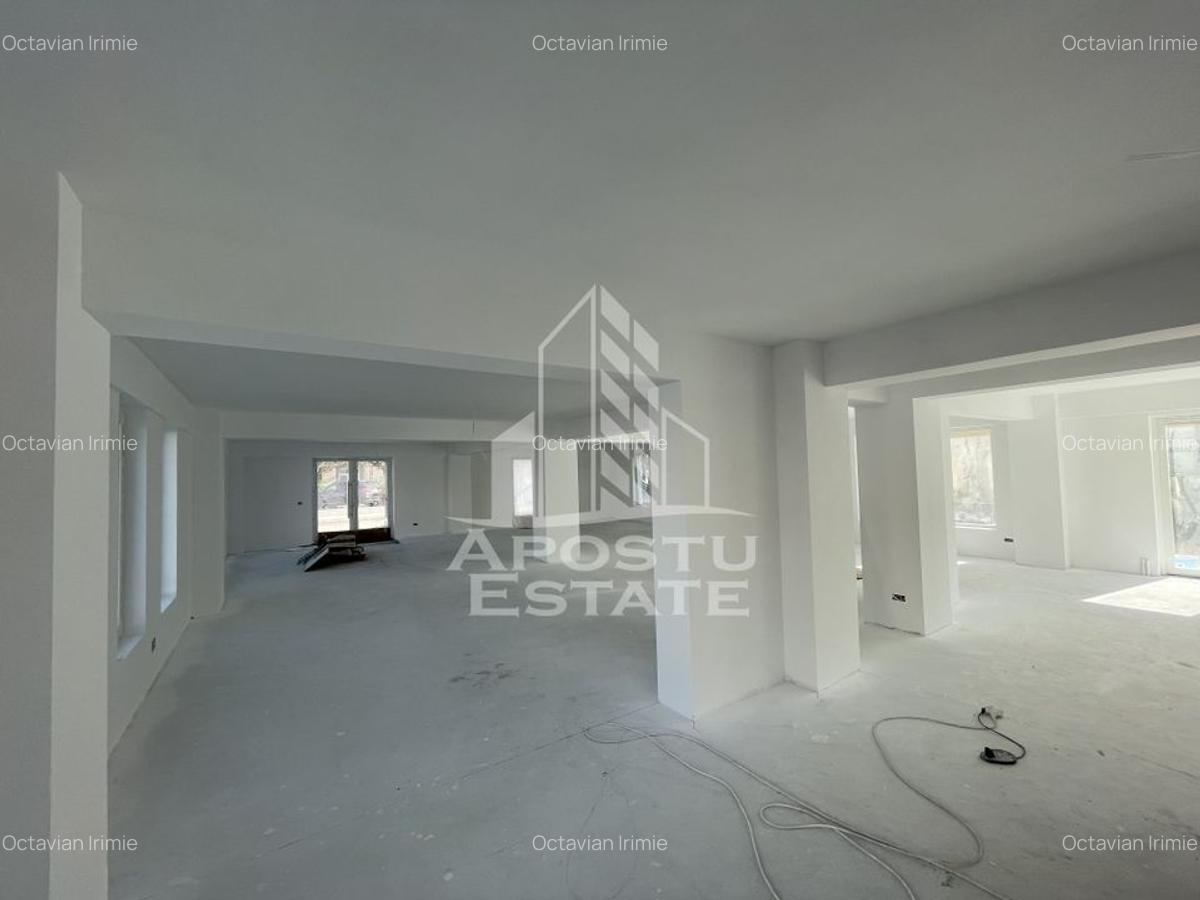 Spațiu comercial, 238 mp în Lipovei - 4