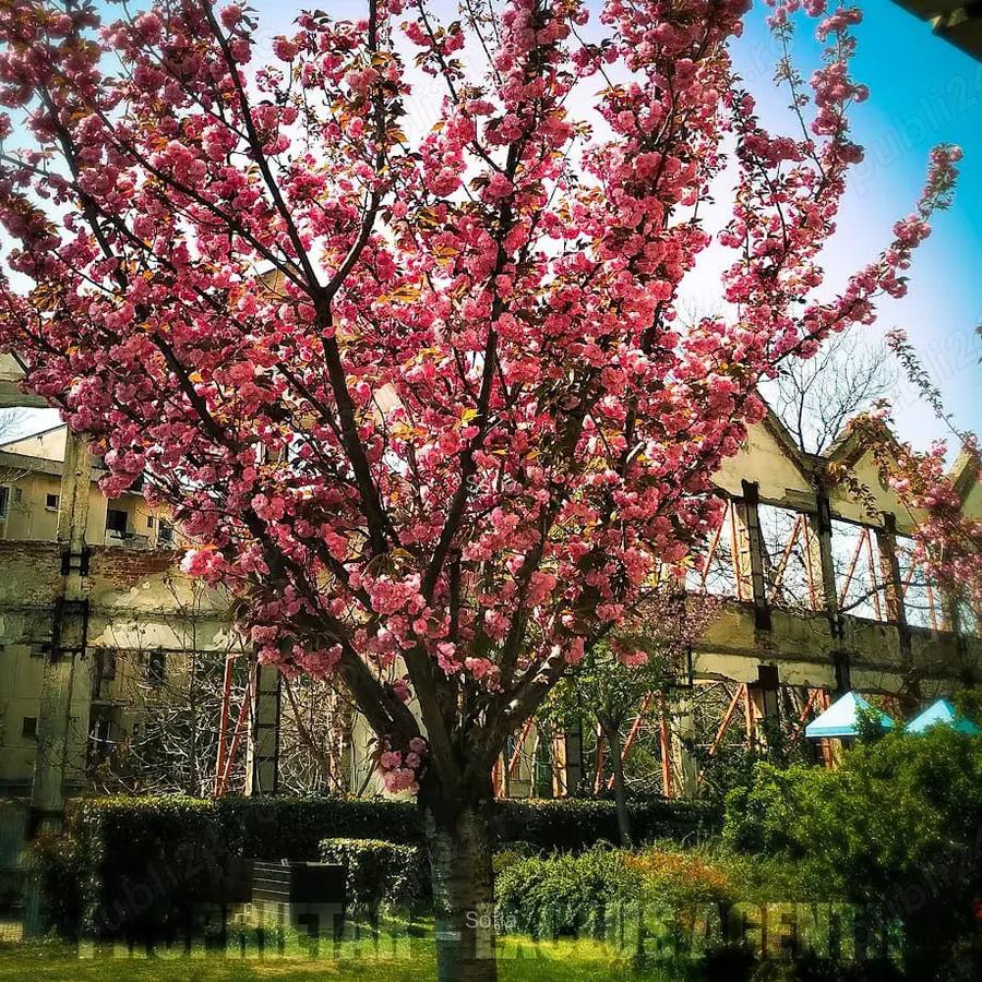 In City Residence- vanzare apartament 3 camere - 6