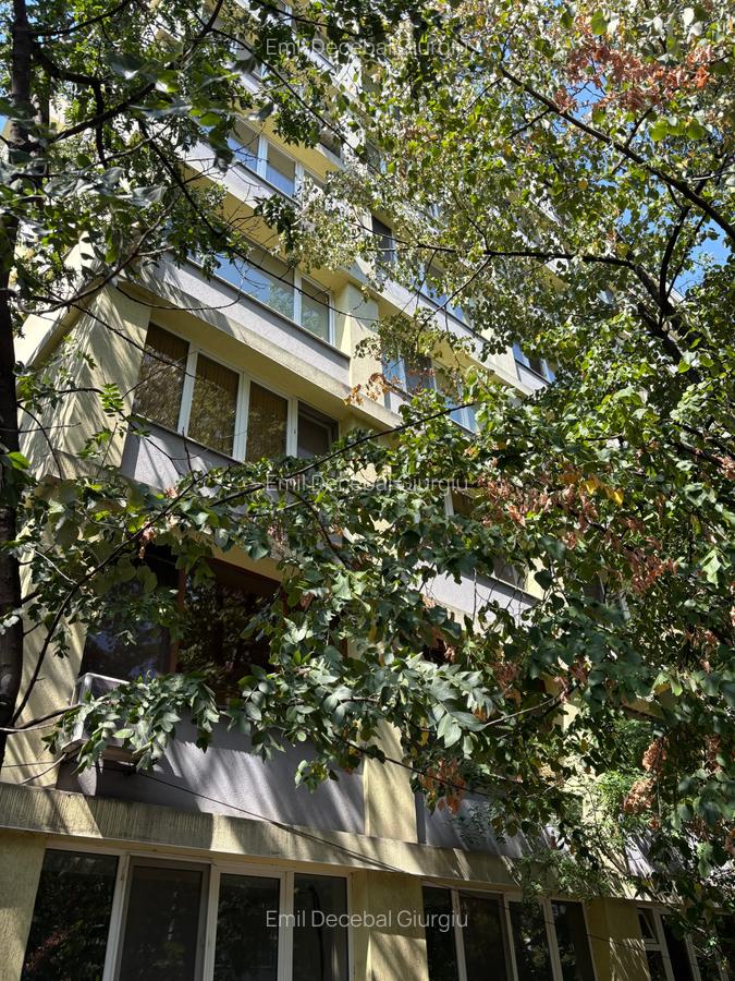 ARCUL de TRIUMF,pe AVERESCU,apartament cochet in imobil reabilitat,luminos - 6