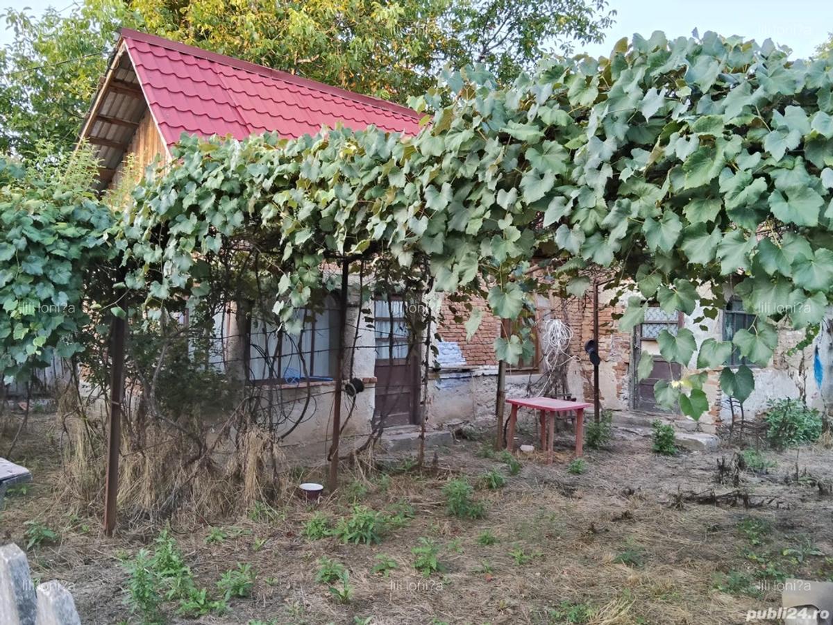 Casa de vanzare - 5