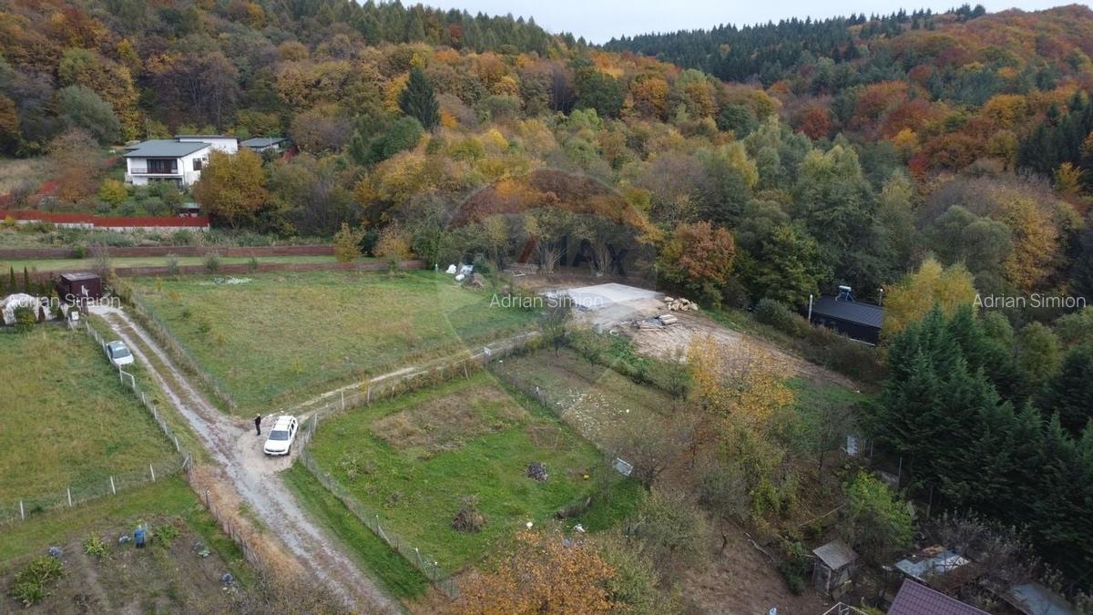 Teren de vanzare in Faget 1542 mp cu panorama - 4