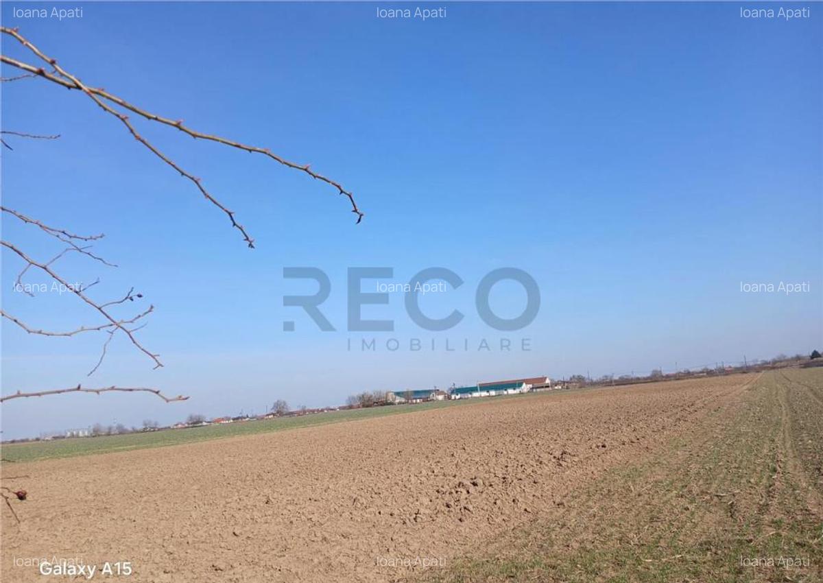 RECO Teren intravilan aproape de zona industriala Biharia - 3