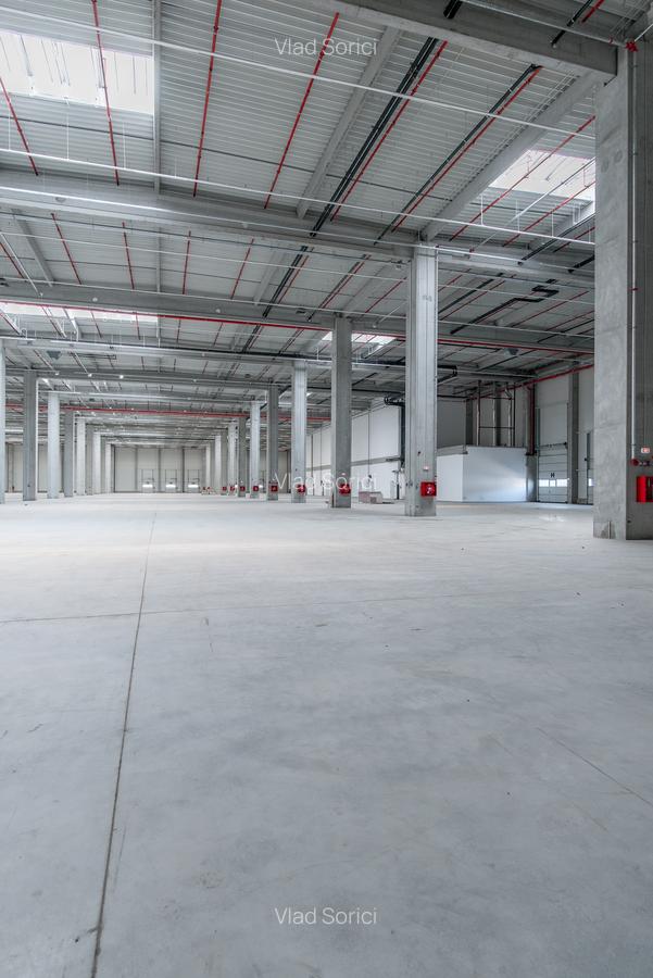 Depozit Hala Autorizata ISU 600 mp -15000 mp - 7 Depozit Hala Autorizata ISU 600 mp -15000 mp - 7