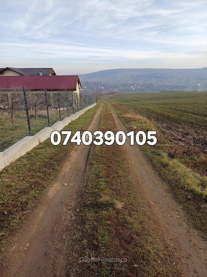 Teren 1950 mp Sorogari - 2