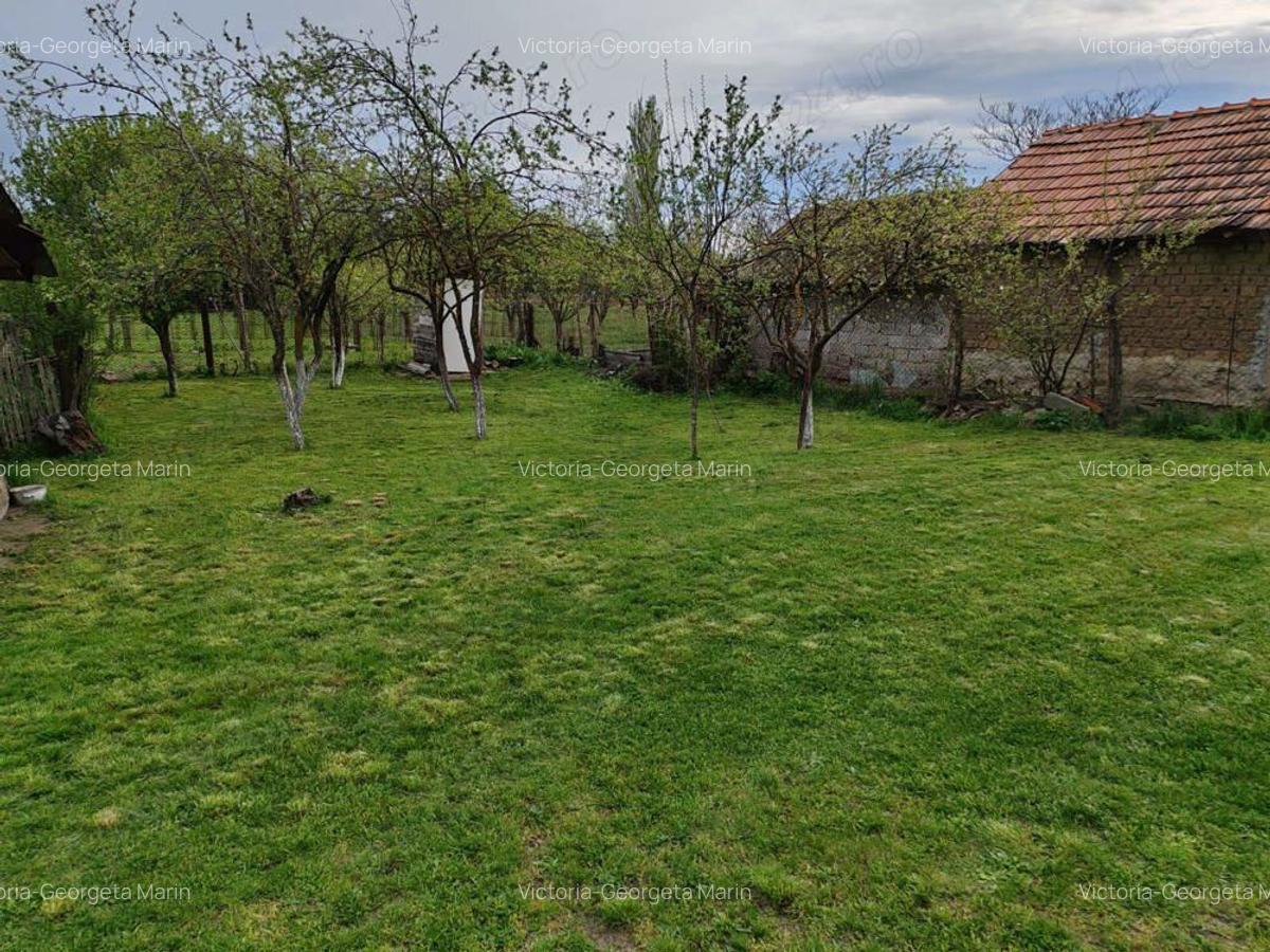 Teren cu casa batraneasca de vanzare - 1
