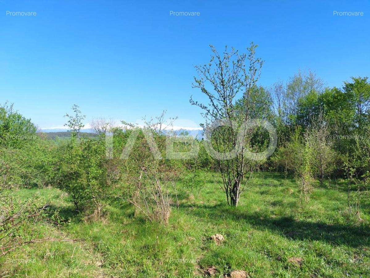 Teren intravilan 4280 mp acces la drum si utilitati zona deosebita - 6