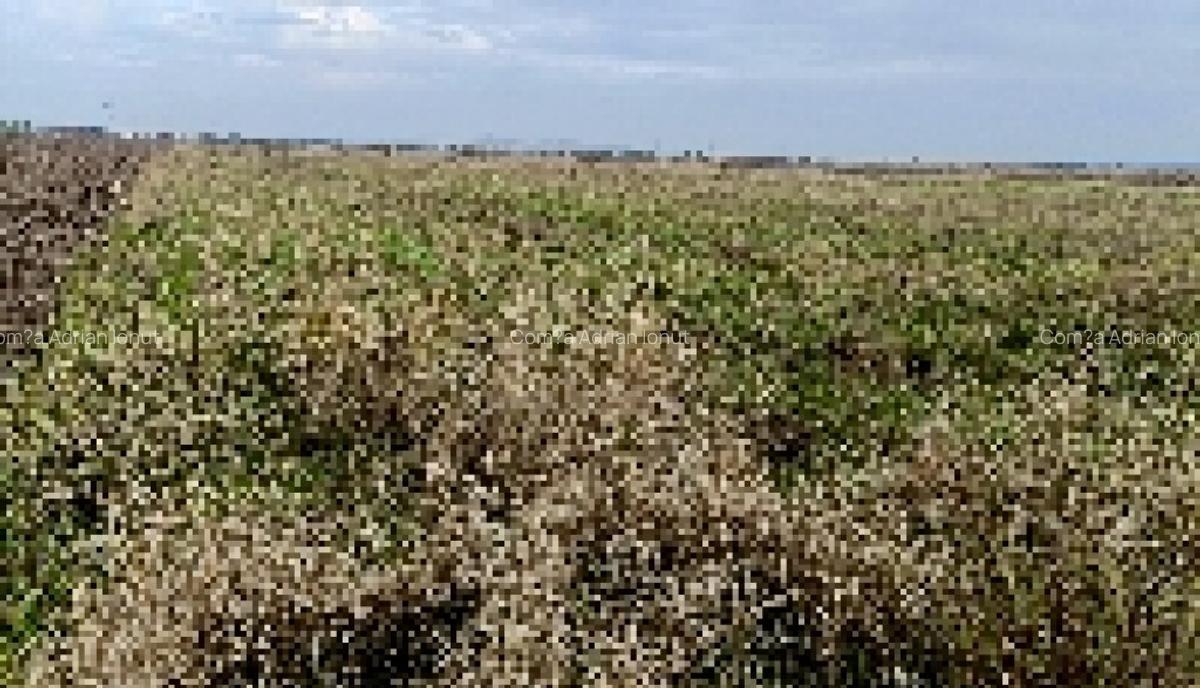 Teren 7700mp Lazuri, Dambovi?a - 3