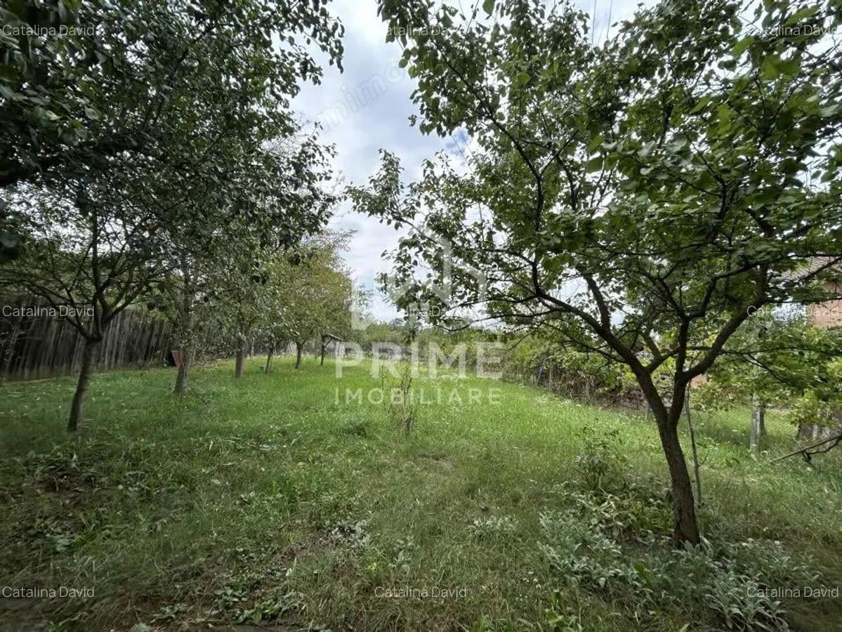 Teren extravilan , 1200 mp , zona cetate - 1