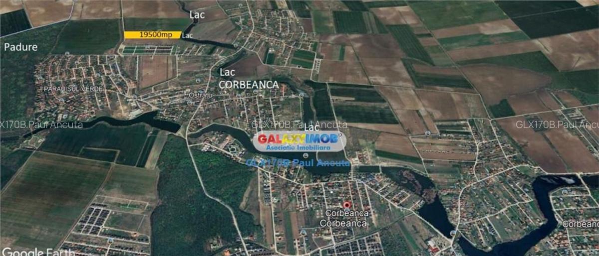 Teren Lac Corbeanca 19500 mp str Scolii Paradisul Verde - 3