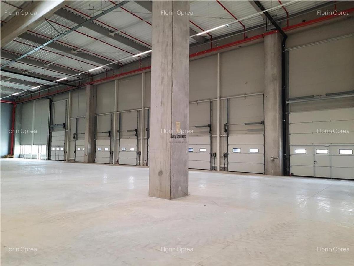 Spatiu Industrial - 5200 mp - Logistica - Productie - Depozitare - Distributie - 2