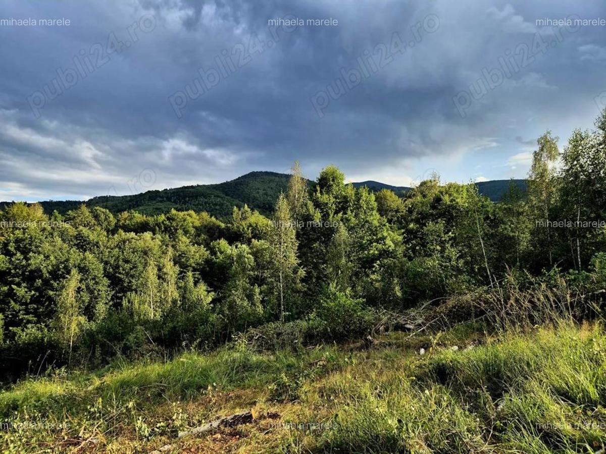 Teren cabana de vacanta Comision 0% - 4