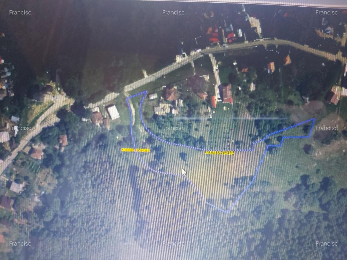 Vănzare 8274 mp proiect 10 loturi casă roape,Curtea de Arges - 2