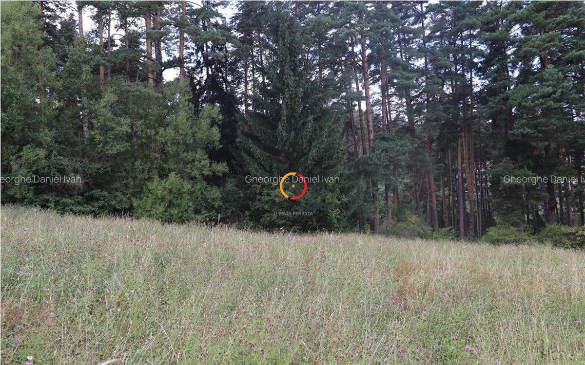 Teren intravilan cu PUZ si PUD 2 loturi - 6