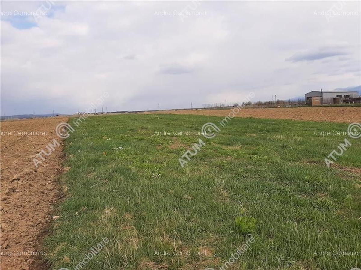 Eren intravilan 1400 mp de vanzare pe Valea Avrigului - 7