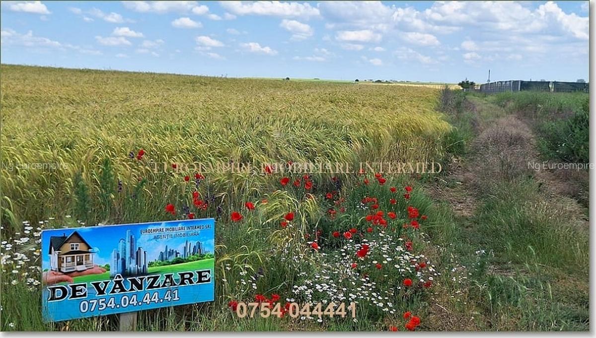 Teren de vanzare intravilan 5000mp localitatea Lazu - 1