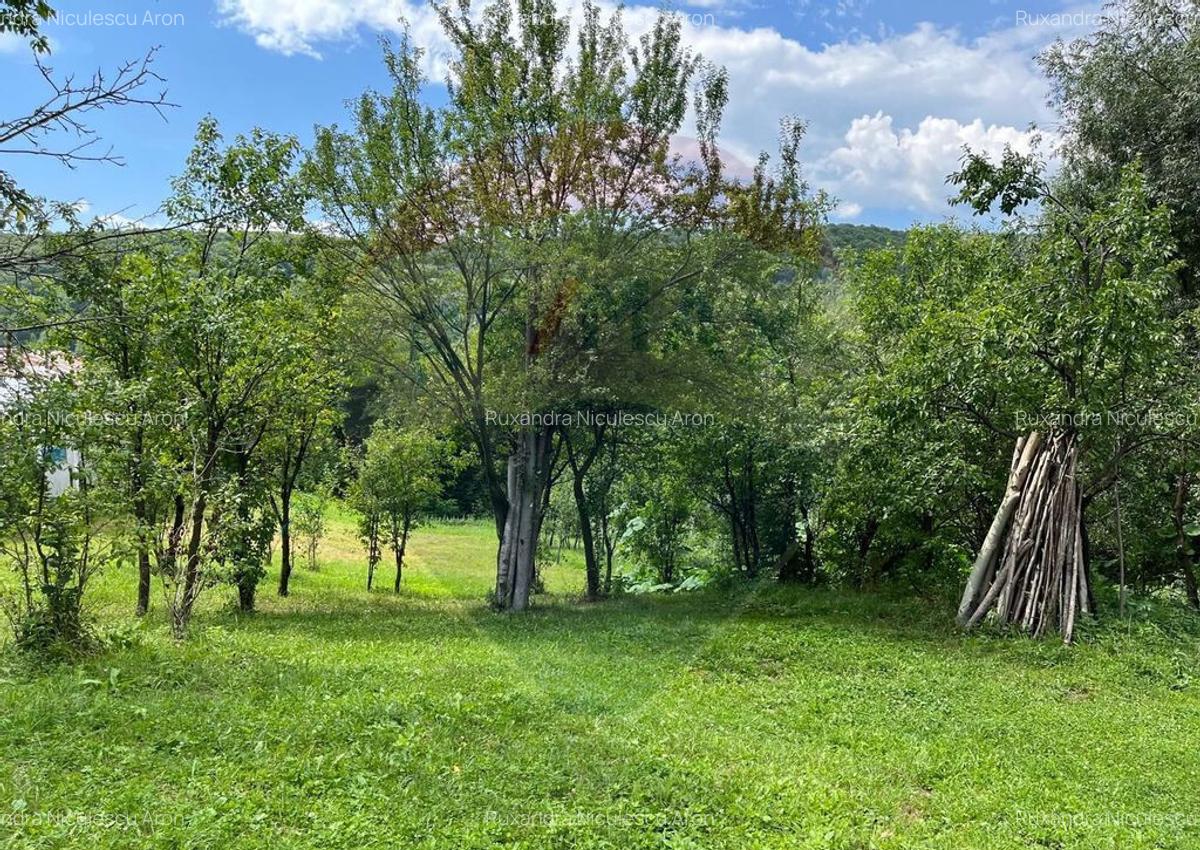 Teren intravilan (fanea?a) de vanzare 2231 mp, Te... - 5