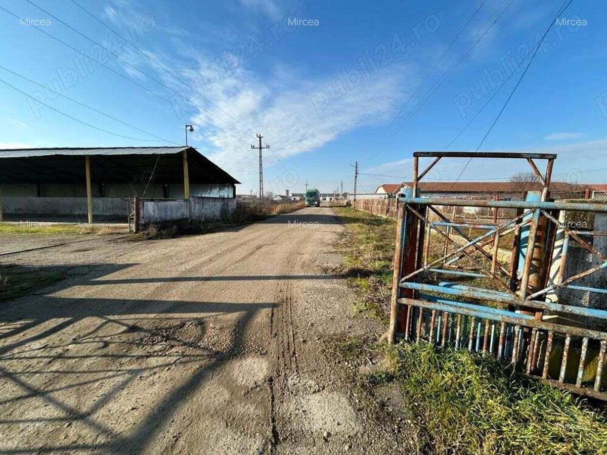 Vand teren intravilan,zona industriala,st.16,8 ha. + 8 ha.agricol,in Sanicolau Mare, la DN6,la sosea - 13