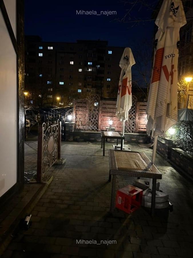 Spatiu Comercial De Inchiriat Petre Isiprescu - 10