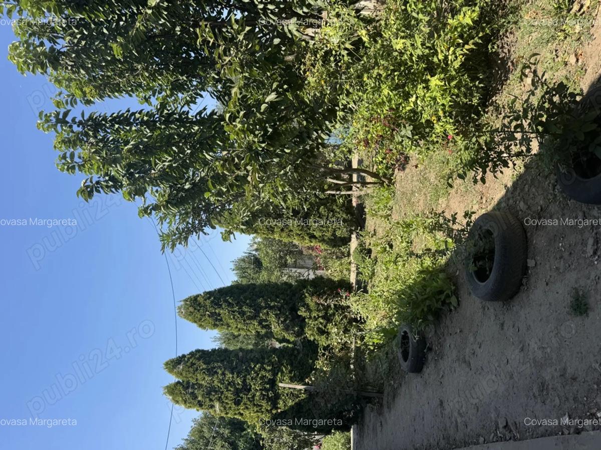 Casa de vanzare in sat Pietreni , jud Constan?a - 10