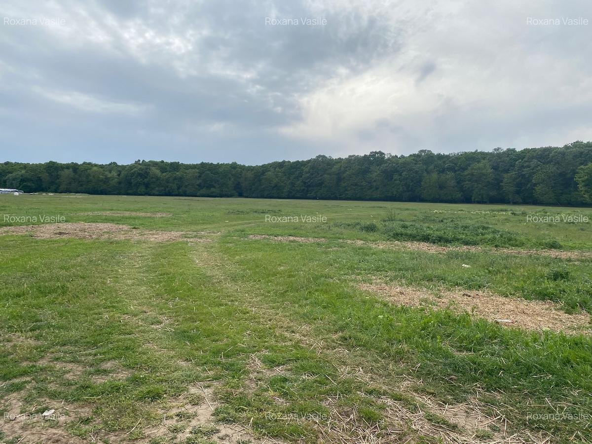 Vanzare  Teren intravilan  Matei Millo  - Teren  Pipera  Padure Baneasa - 8