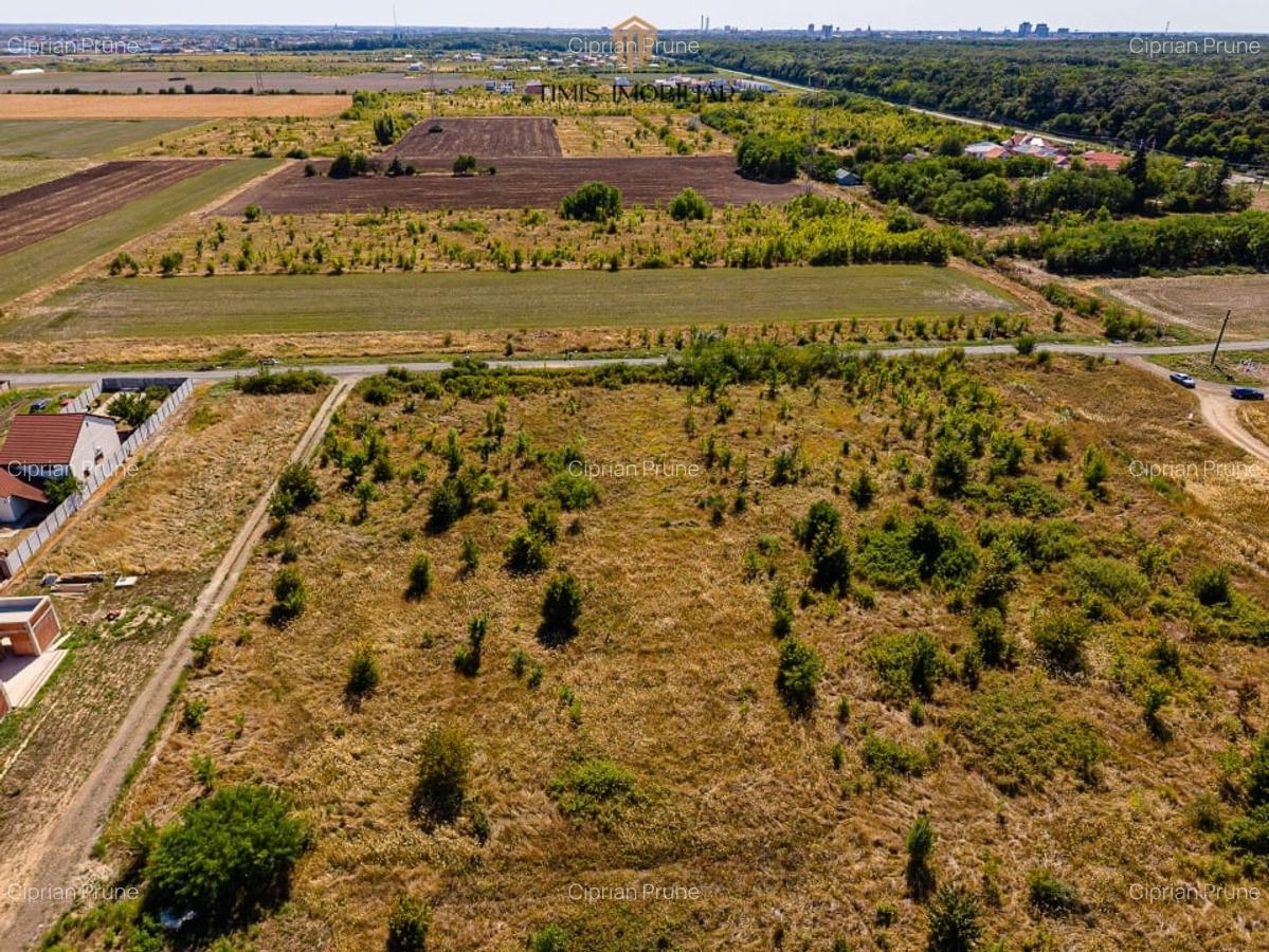 Parcele case cu vedere spre padure - intre Timisoara si Giarmata Vii - 8