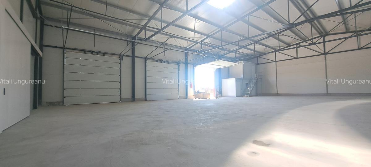 Drumul intre Tarlale, sector 3, hala 590 mp - 1