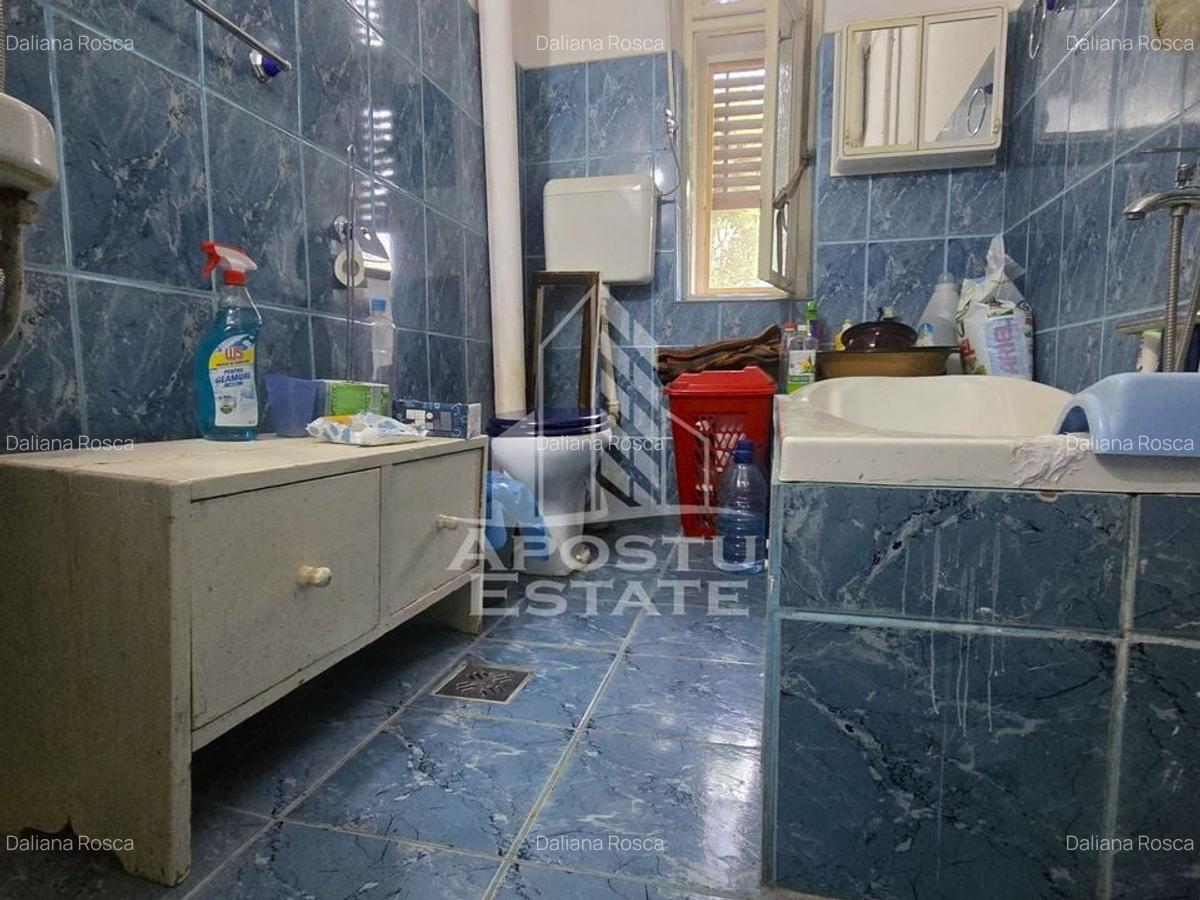 Proprietate cu potential turistic in Gurahont - 22