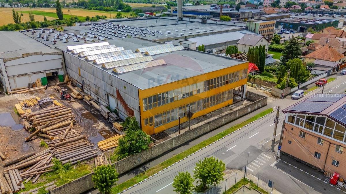 Spațiu industrial, 150 mp în Vest - 15