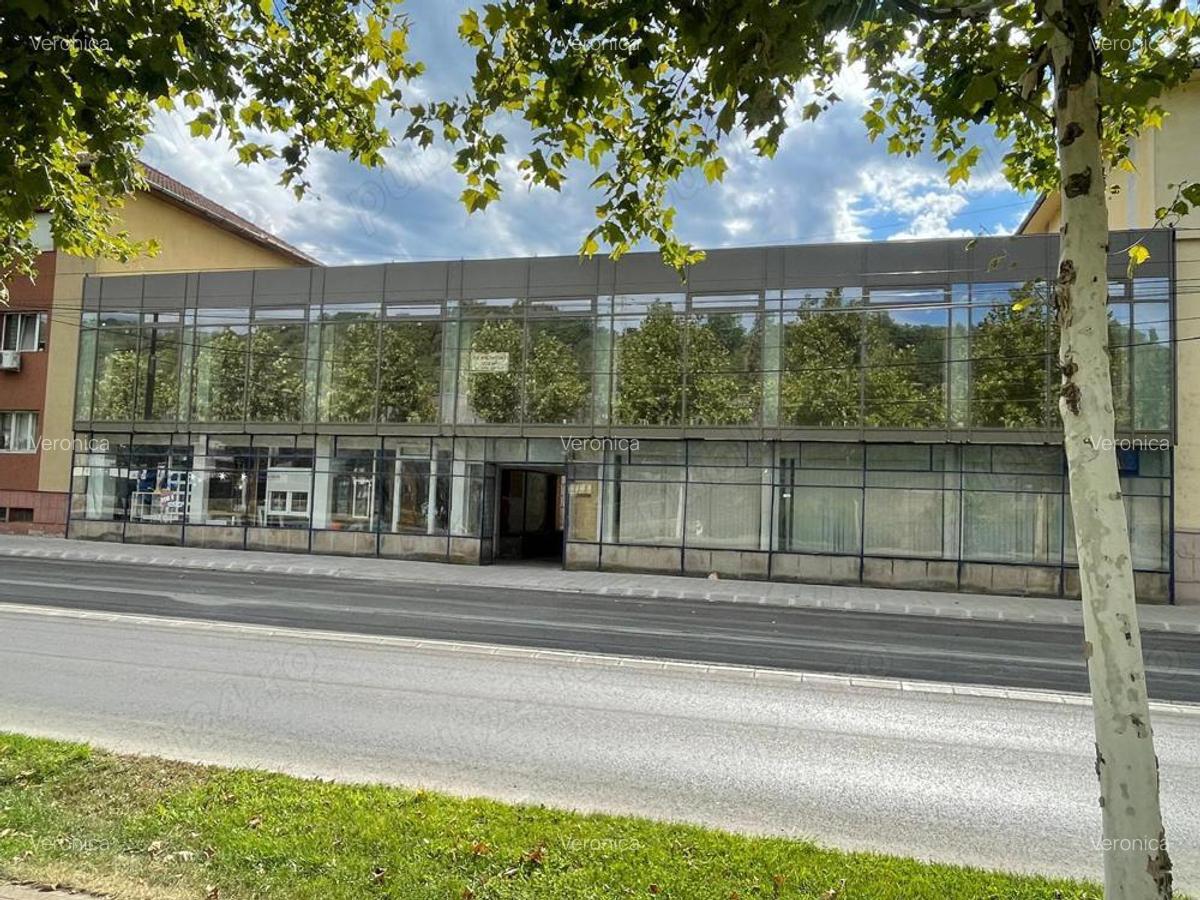 Spatiu comercial de inchiriat - 3