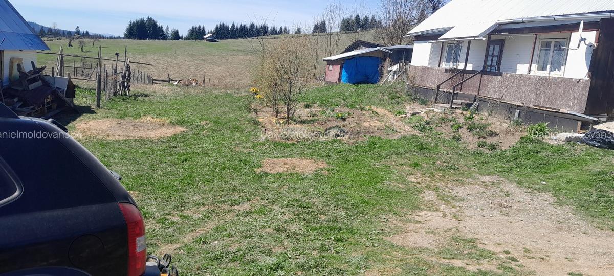 Vând casa batraneasca și teren 3892m - 4