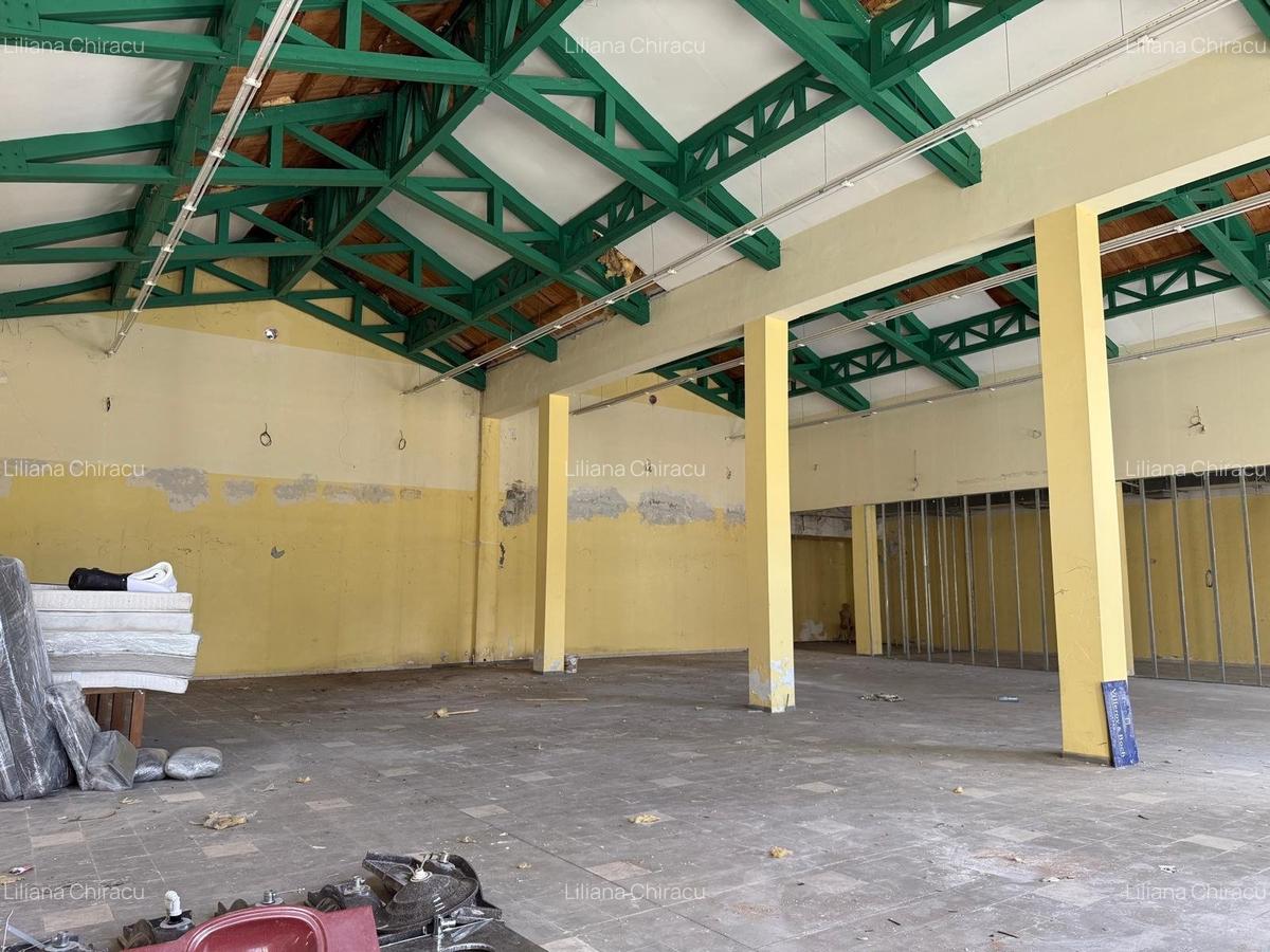 PROPRIETATE UNICA IN BUCURESTI - 5660 MP, TEREN 4736 MP - "VIILOR" - 4