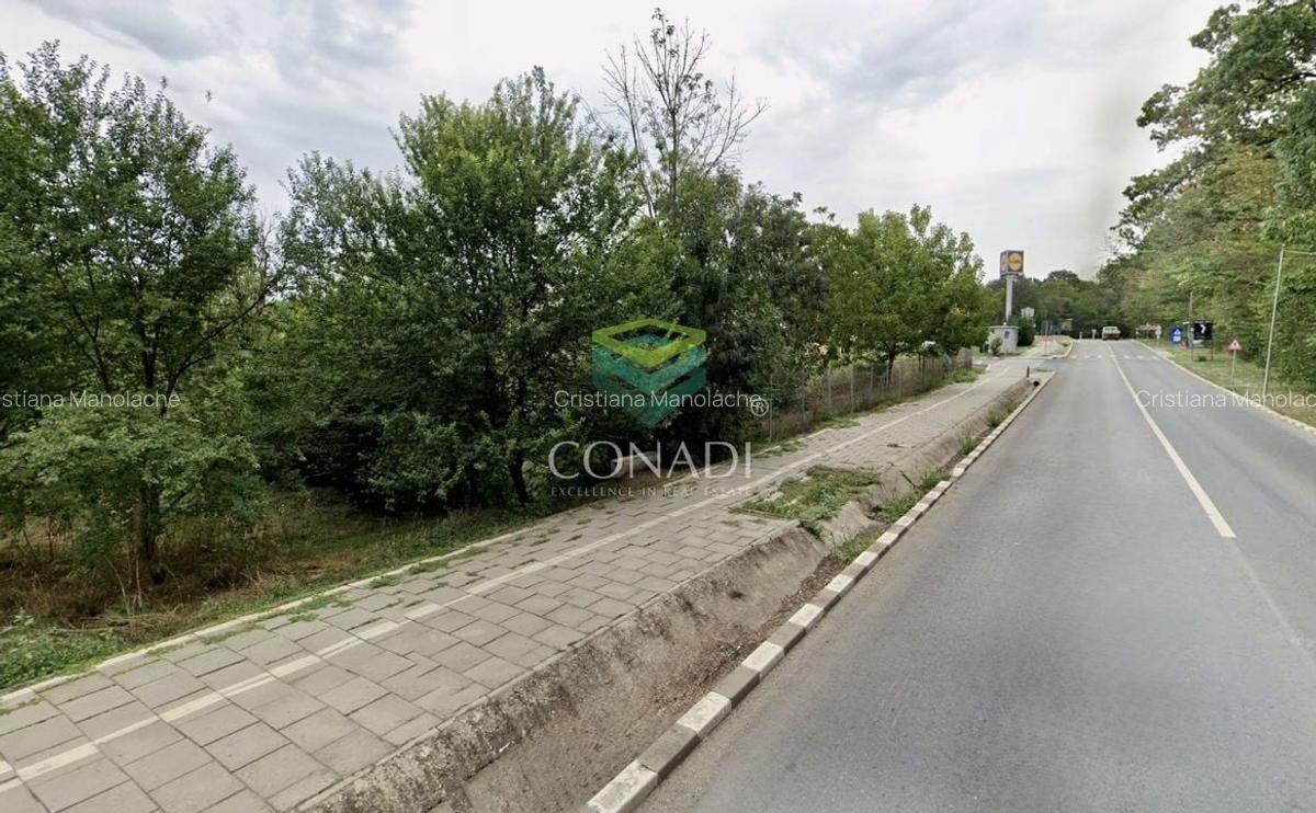 Teren de vanzare 1500mp | Snagov | Deschidere Stradala - 2