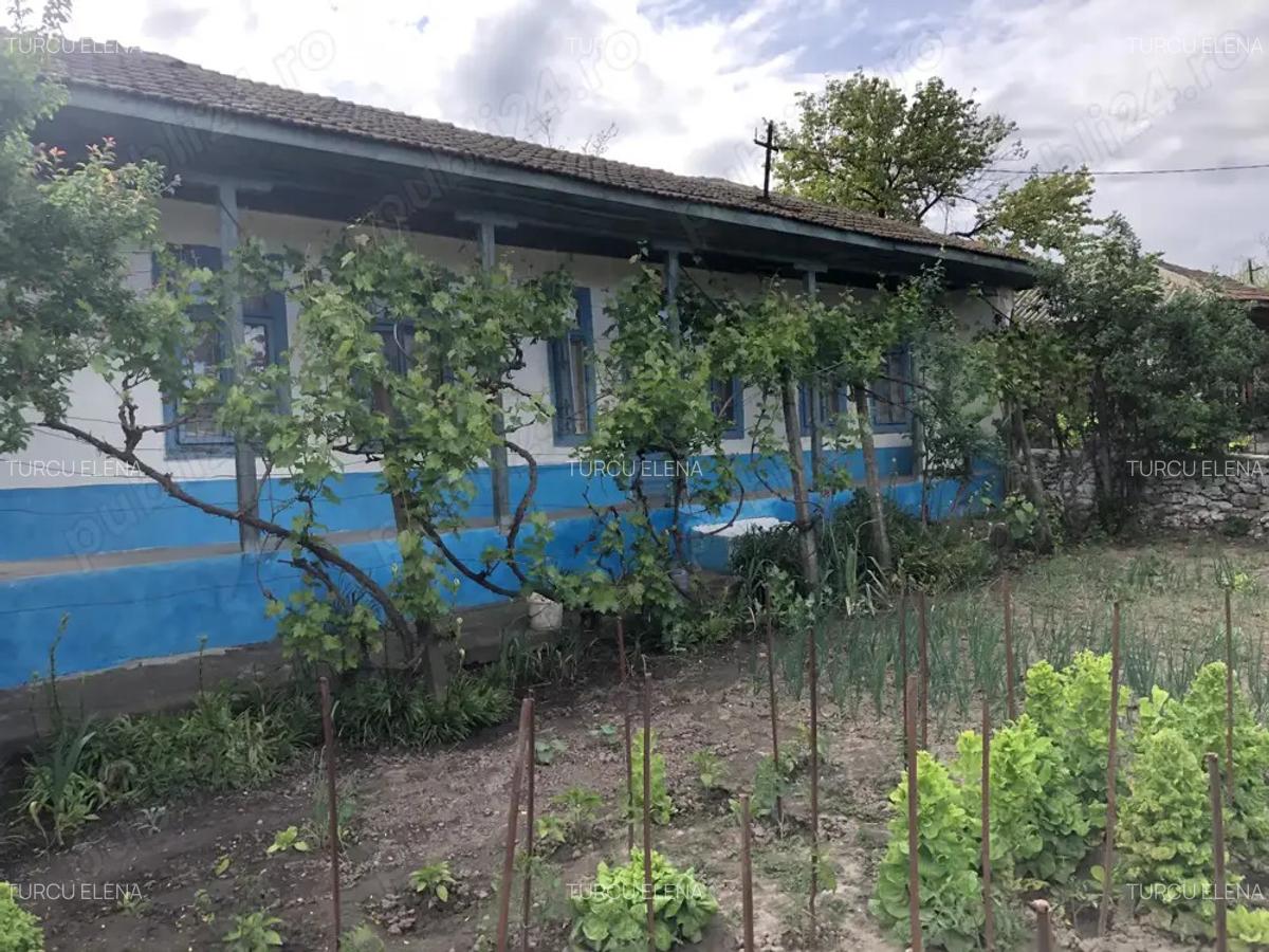 Vand casa in Loc. Petrosani, Jud. Constanta - 2