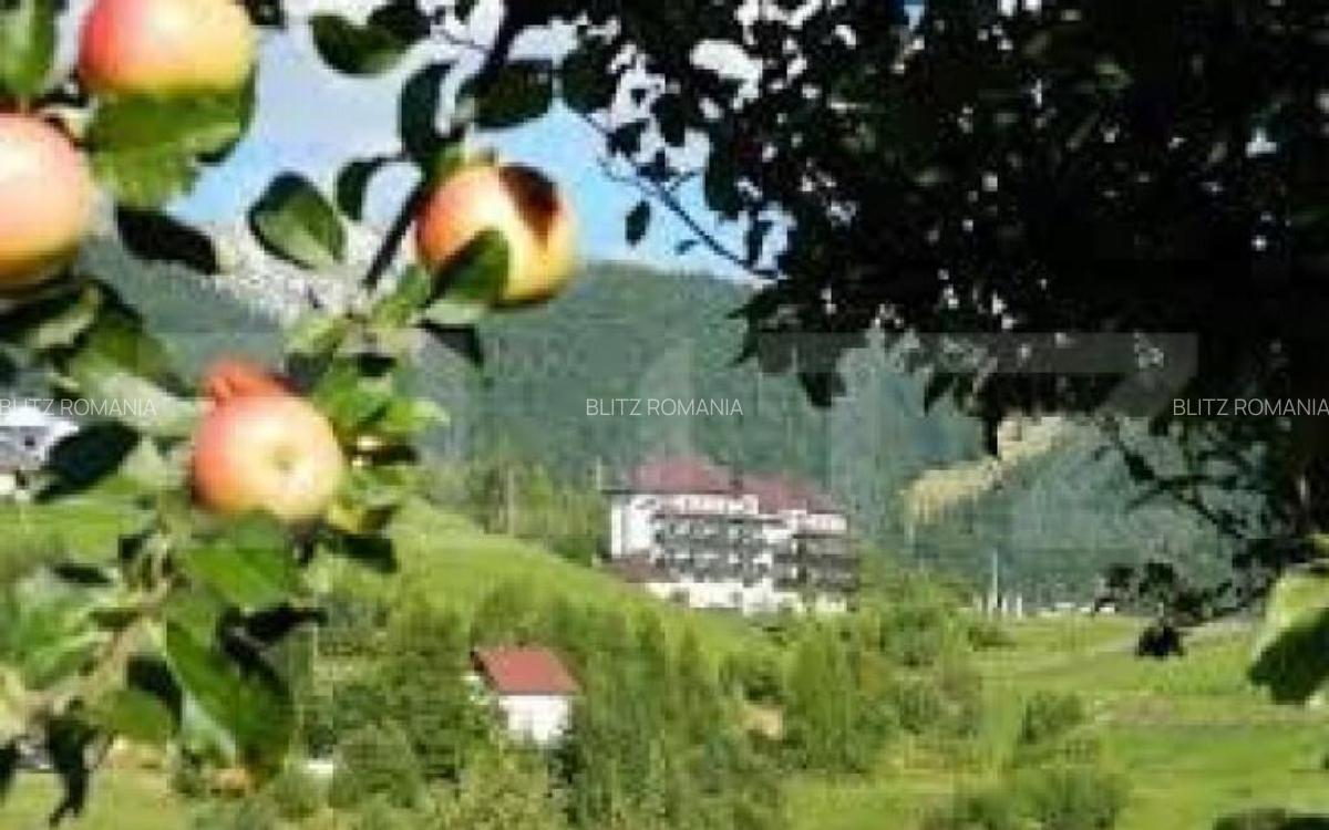 Teren 13.570 mp, Moieciu Pestera - 2