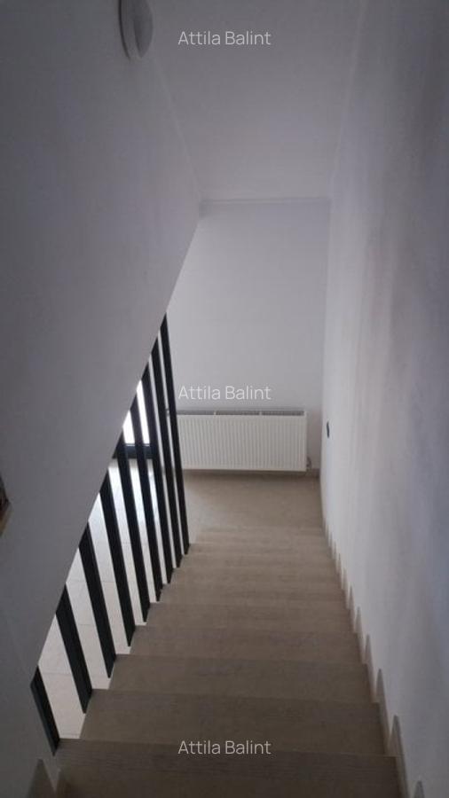 Casa Braytim- LIDL nemobilata 160000 euro+TVA - 10