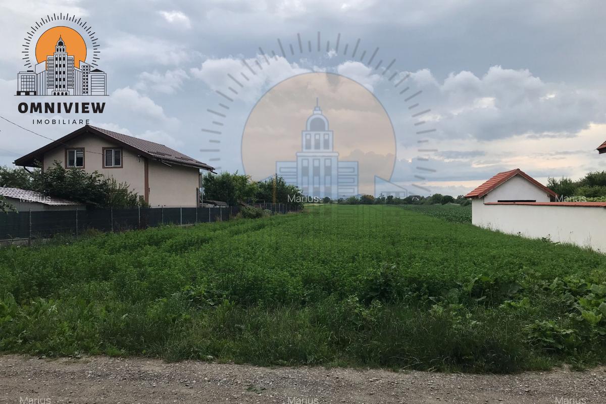 Teren 3.600 mp de Vânzare în Stupinii Prejmerului – Utilități Disponibile - 1