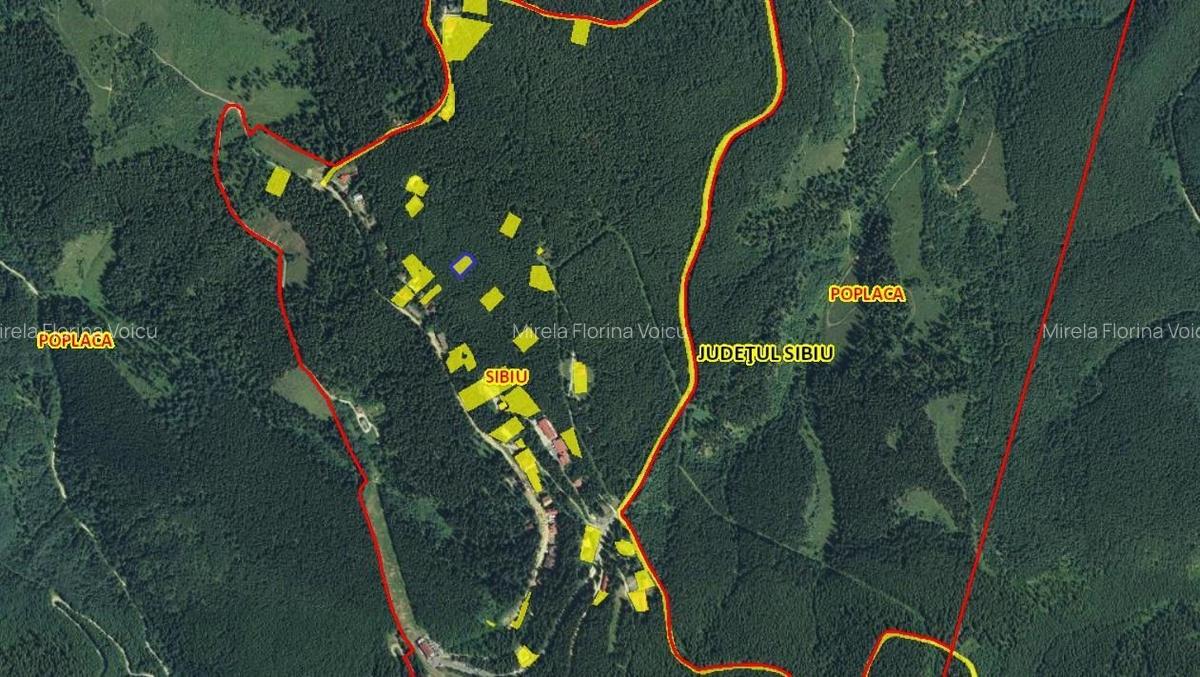 Teren 1400mp intravilan padure in statiunea Paltinis -zona statia Meteorologica - 4