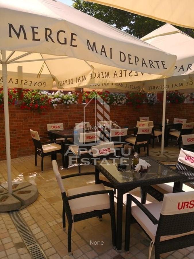 Vânzare restaurant La Cramă – locație centrală Hunedoara - 32