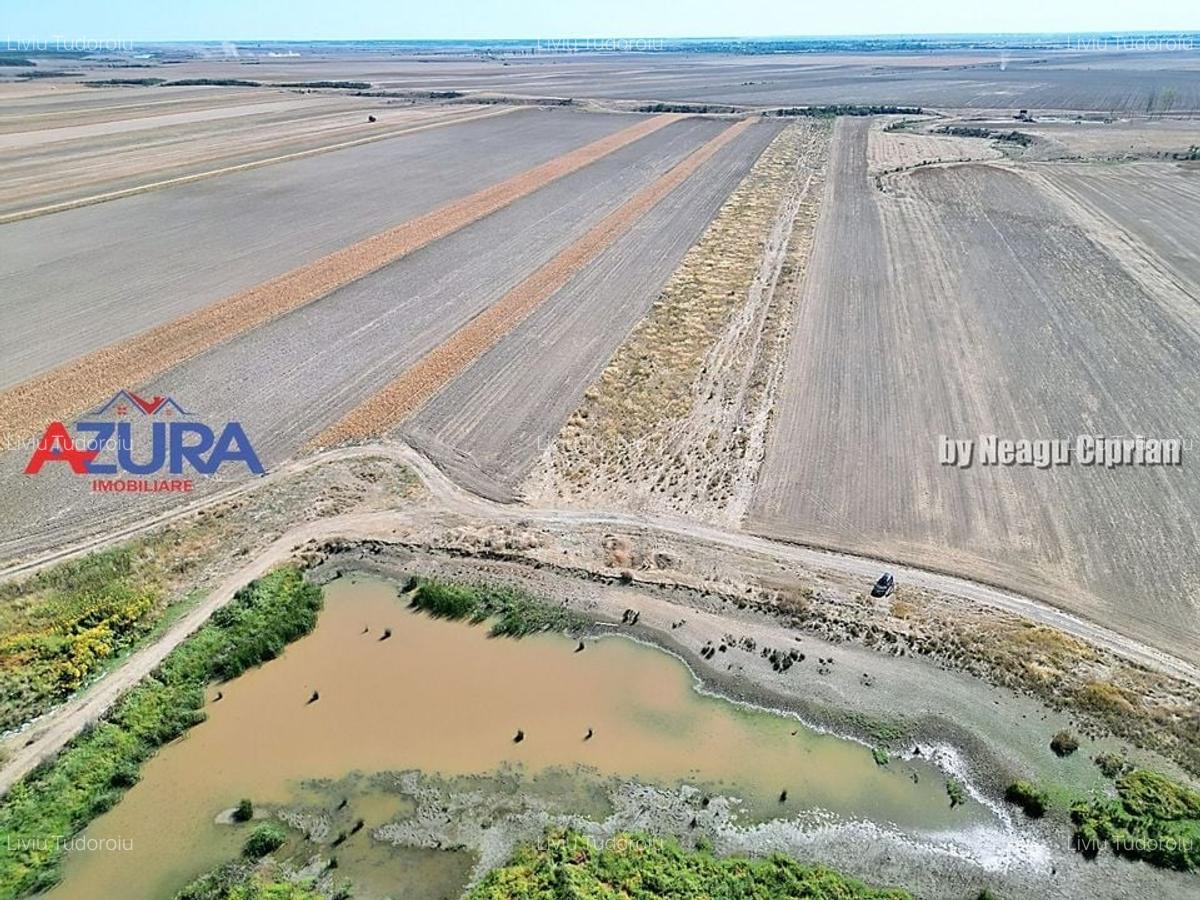 Teren agricol, 5HA, comasat, drum acces, Cateasca - 8