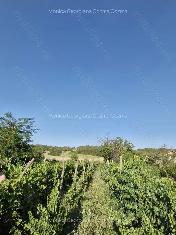 Casa de vanzare 81 mp cu teren 1455 mp intravilan si teren extravilan de 2200 mp - 3