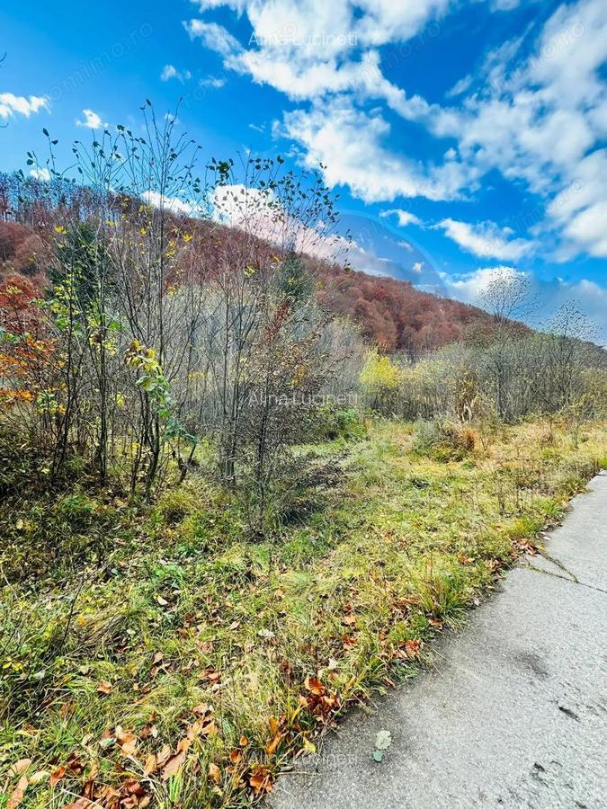 Teren 4,877mp Mara / Strada Principala - 8