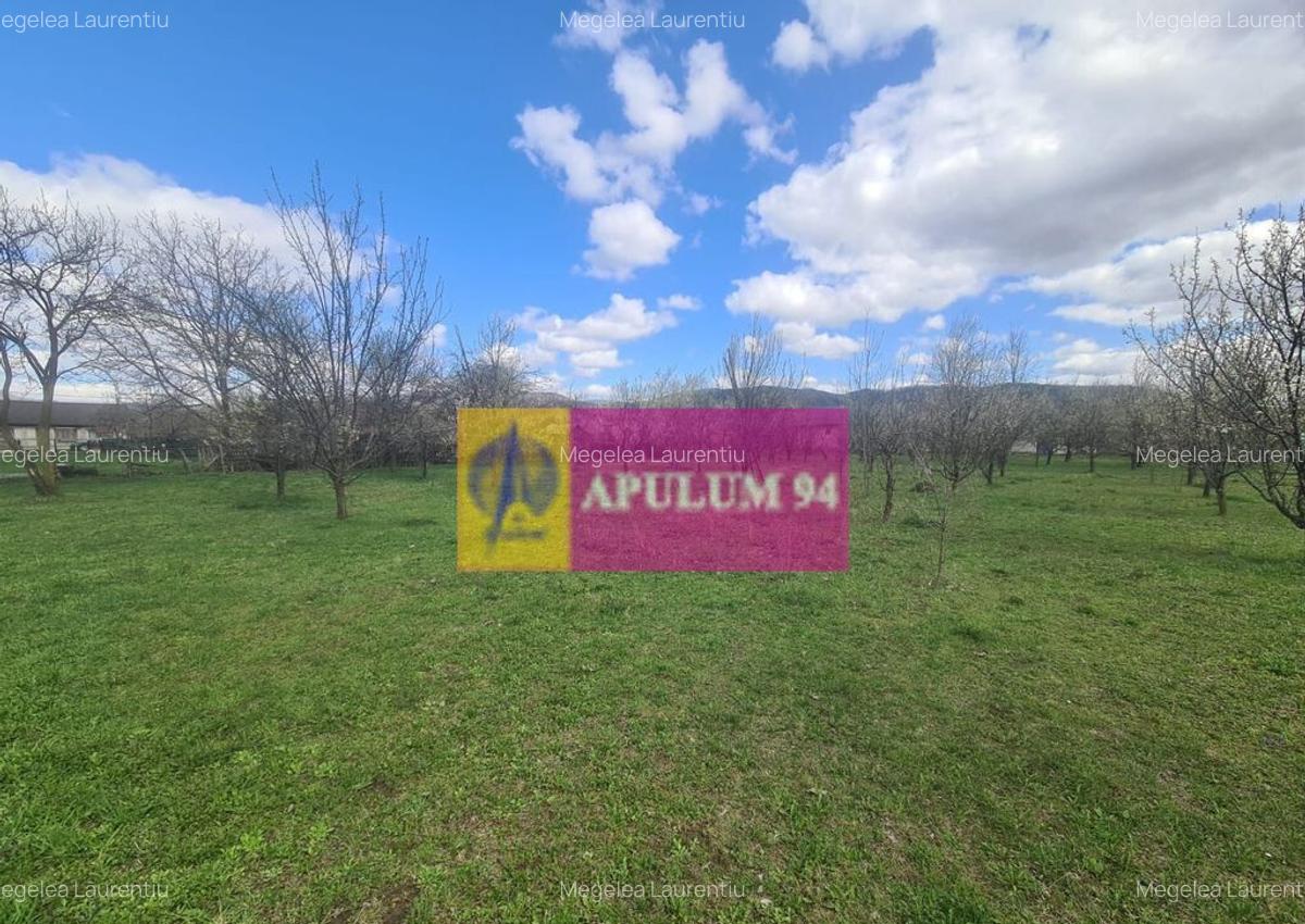 Teren de vanzare in Brebu - Zona Brebu Megiesesc - 1