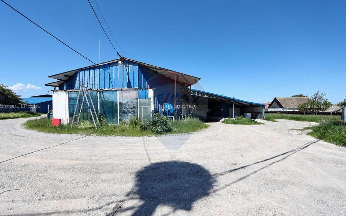 Comision 0 |Oportunitate : Hala Productie, hala depozit |... - 9