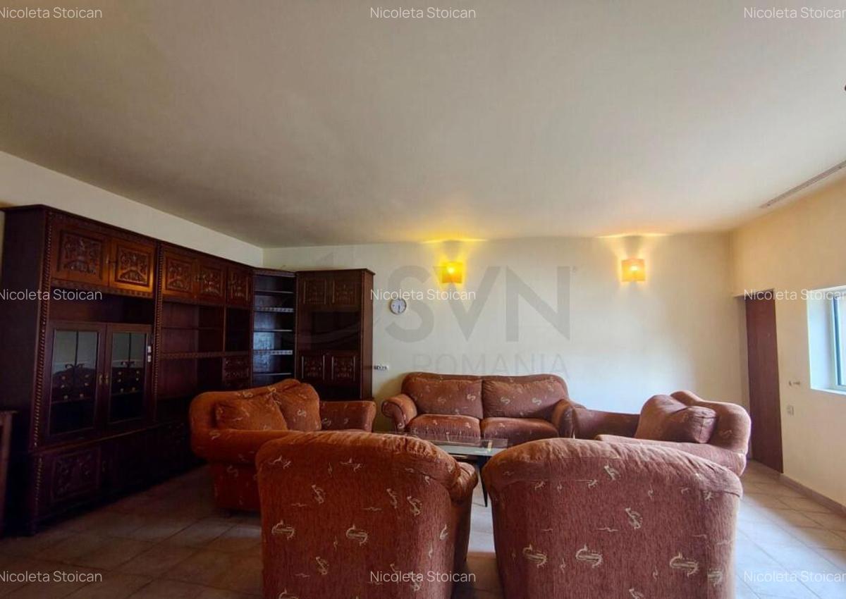 Vila de intre Parcul Tineretului si Parcul Carol - 8