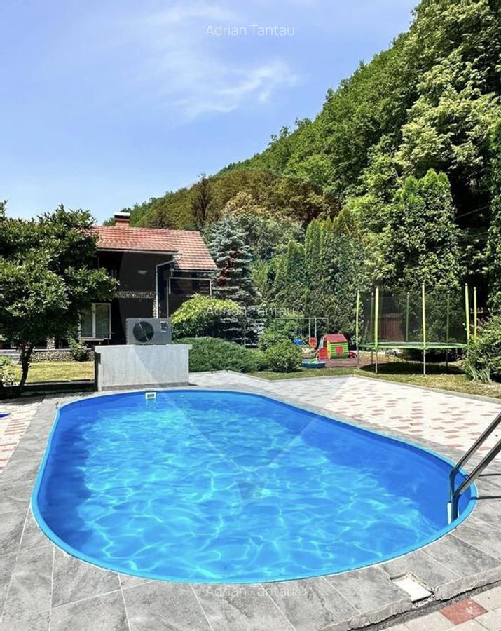 Cabana / casa de vanzare in Baisoara, 285 MP ! Piscina! C... - 10